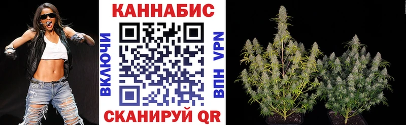 Бошки Шишки ГИДРОПОН  закладки  Сретенск 
